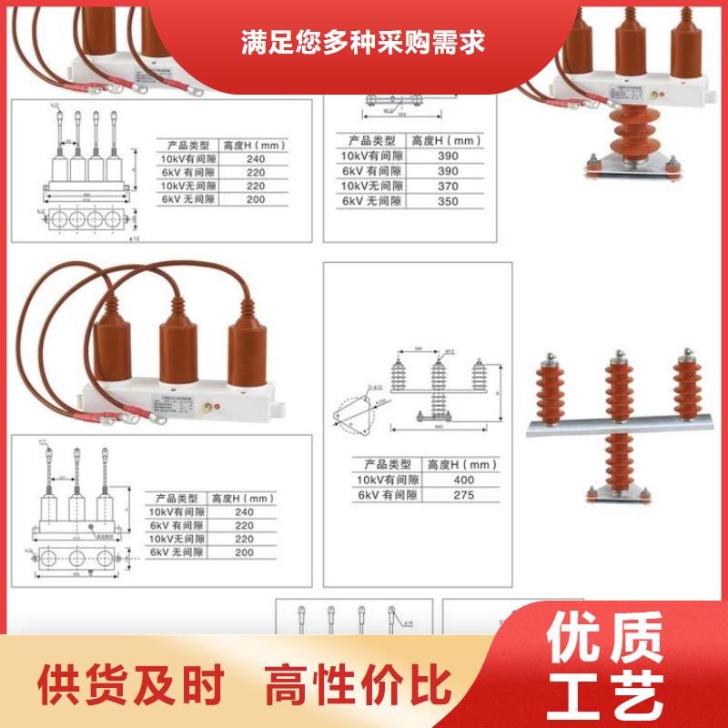 过电压保护器(组合式避雷器)TBP-B-42F/630W