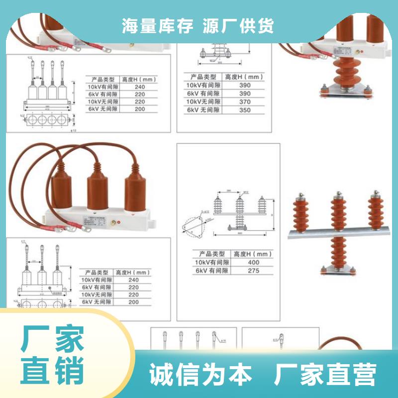 【过电压保护器/避雷器】TBP-B-6.3/85-J