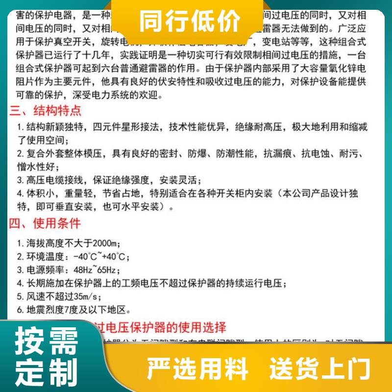 保护器(组合式避雷器)YHB5CD-12.7/31*12.7/31