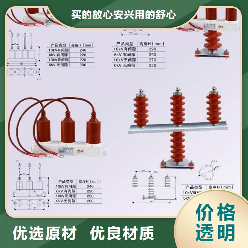 过电压保护器(组合式避雷器)TBP-B-42F/630W