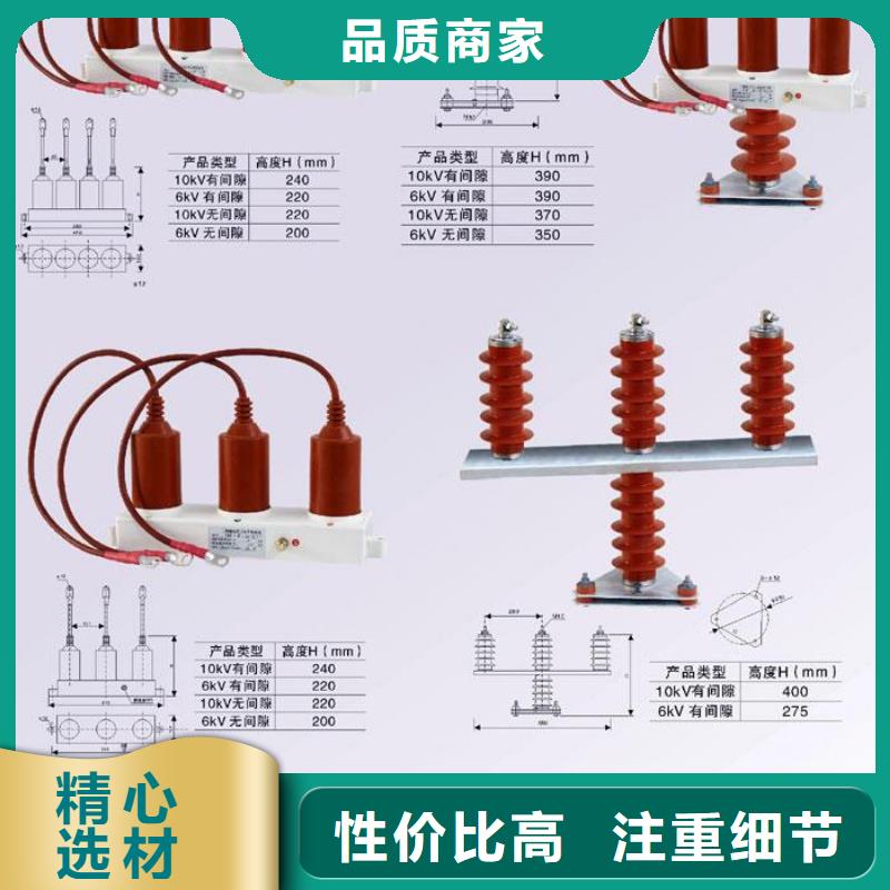 保护器(组合式避雷器)YH5WS-10/30*10/30