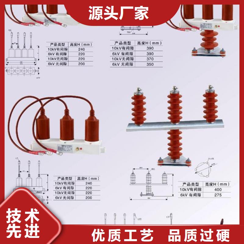 过电压保护器(组合式避雷器)BSTG-C-42F/200