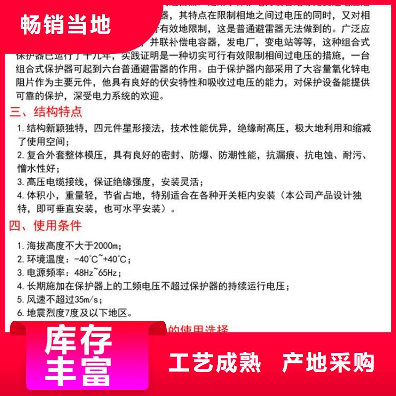 【组合式避雷器】TBP-A-42F/630W