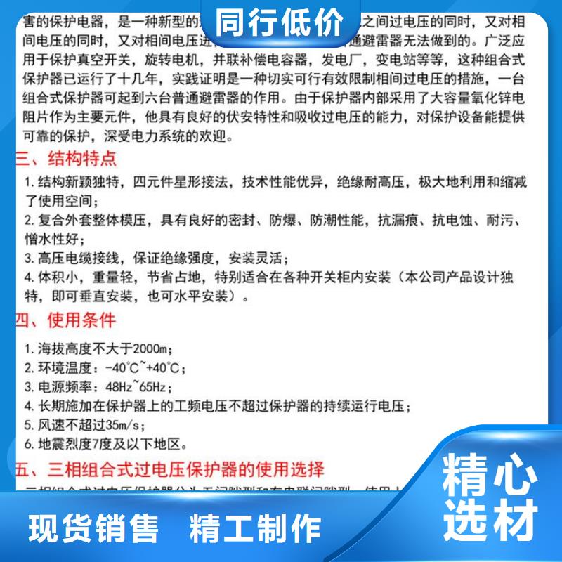 〖过电压保护器〗BSTG-C-42F/200型号齐全