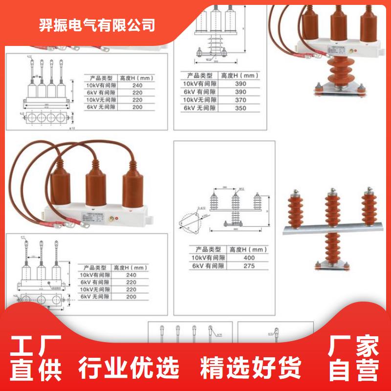 〖过电压保护器〗TBP-C-42F/310种类齐全