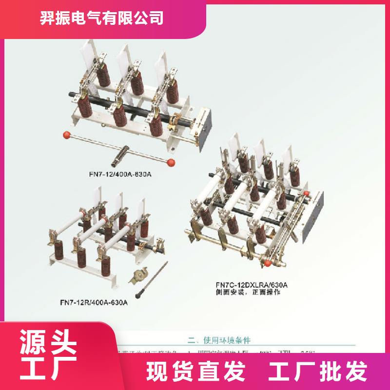 高压负荷开关FN25-10RD/200-31.5_