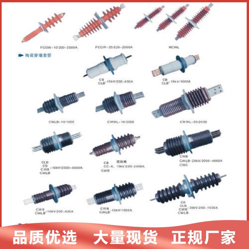 穿墙套管CWB-10KV/4000