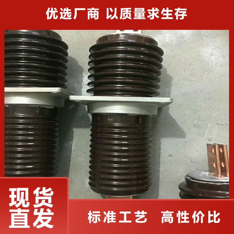 交流穿墙套管,AC20KV,陶瓷,4000A,无CT,铜.