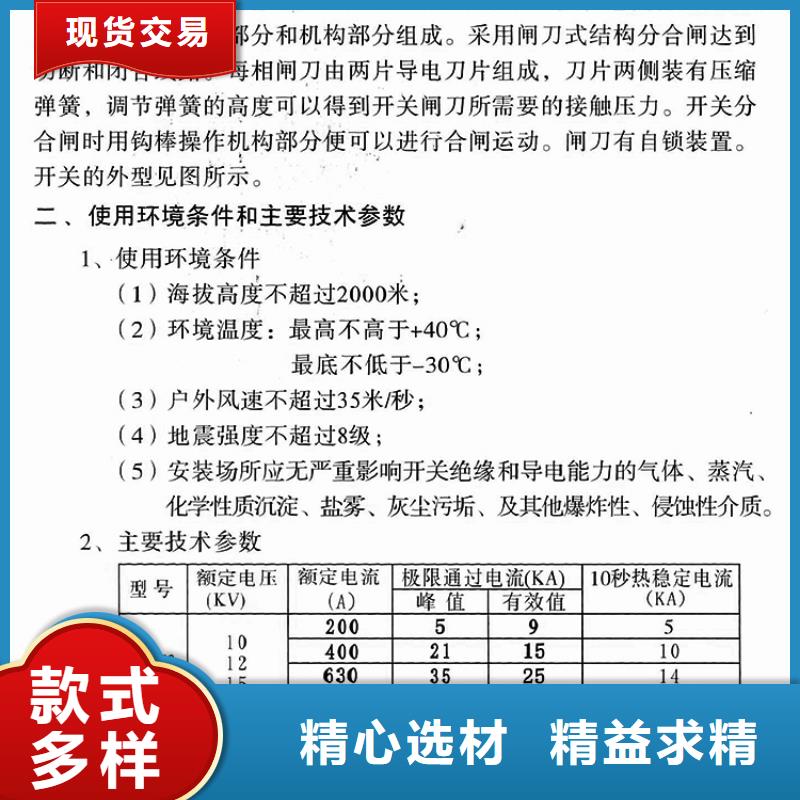 【羿振电气】户外高压交流隔离开关：GW9-15/630A制造厂家