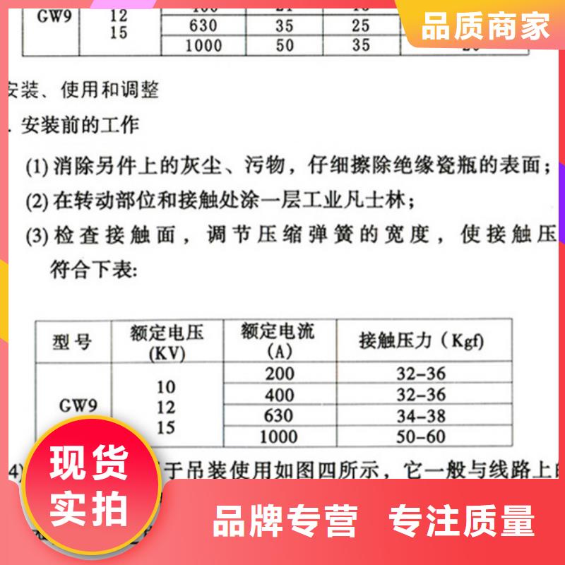 【隔离刀闸】HGW9-12KV/1000