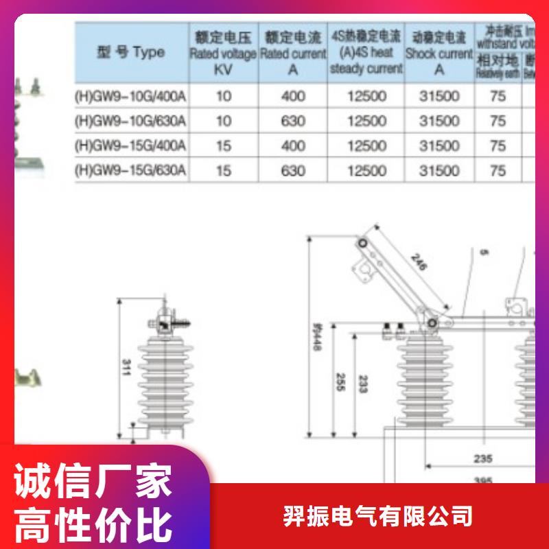 【户外隔离刀闸】GHW9-10/200A