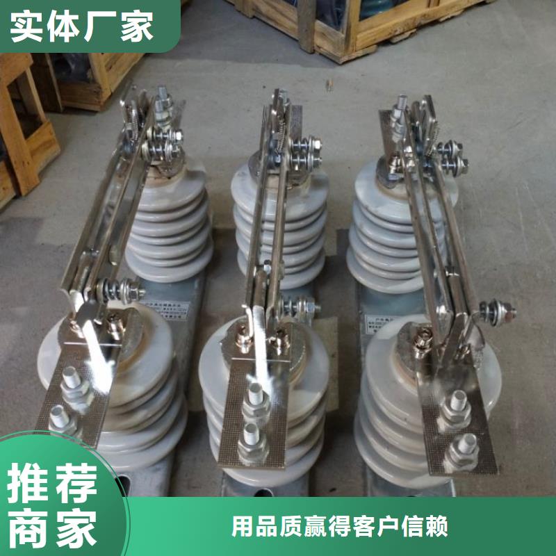 户外高压隔离开关HGW1-10KV/400A