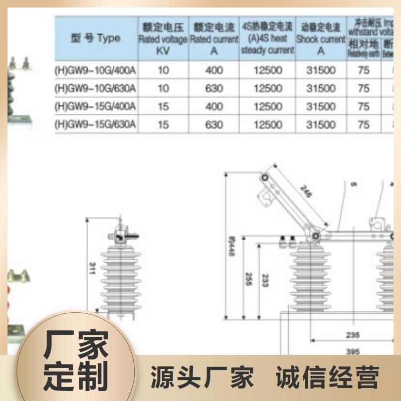 【羿振电气】高压隔离开关GW9-12W/630A