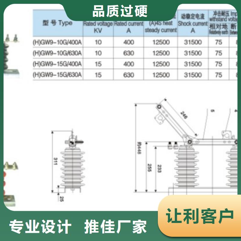 户外高压交流隔离开关：HGW9-12-400A质量保证