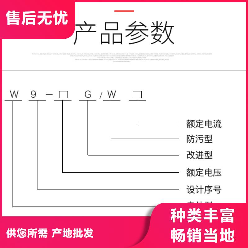 10KV单级隔离开关GW9-10W/1000