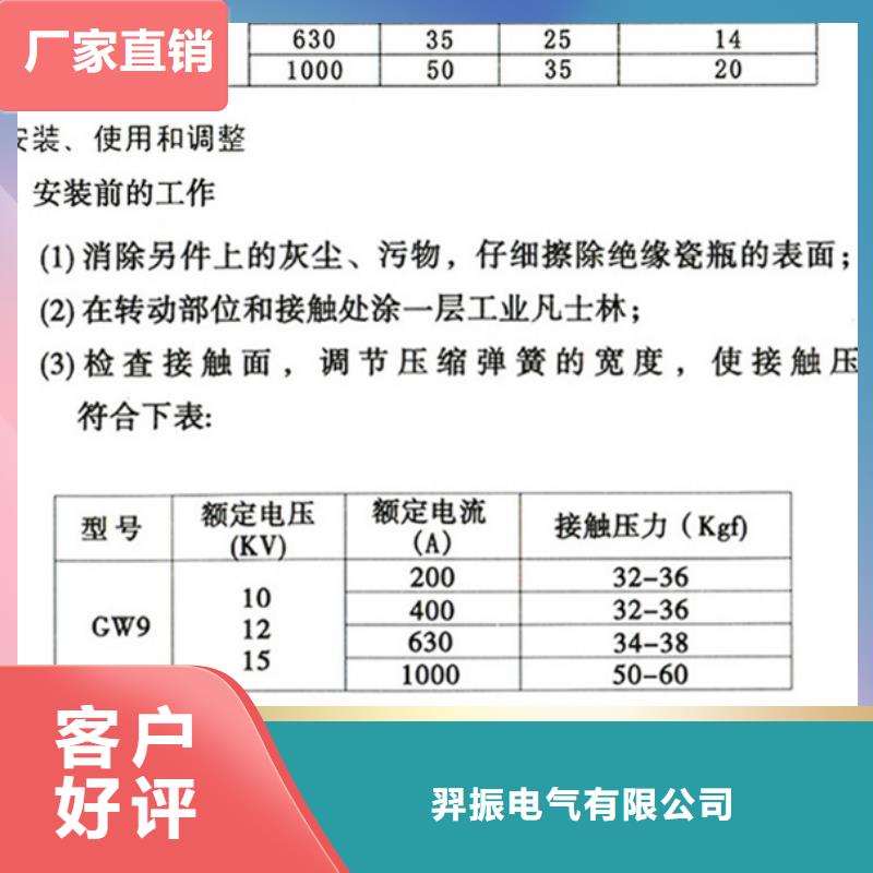 【羿振电气】户外高压交流隔离开关：GW9-12/630A现货供应