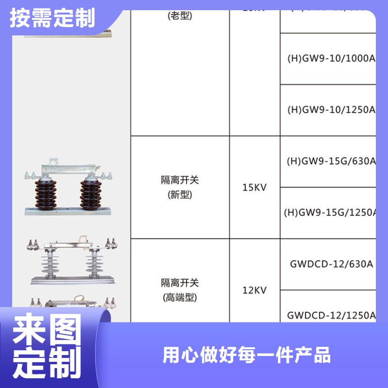 【隔离开关/隔离刀闸】HGW9-12KV/200A