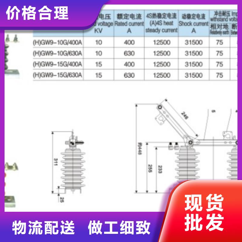 10KV单级隔离开关HGW9-10/1000