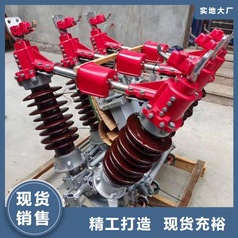 户外高压隔离开关HGW1-10KV/400A