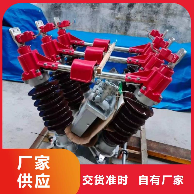 户外高压隔离开关HGW1-12KV/400A