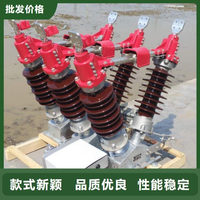 户外高压隔离开关HGW1-10KV/400A