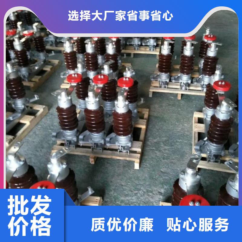 户外高压隔离开关HGW1-10KV/400A