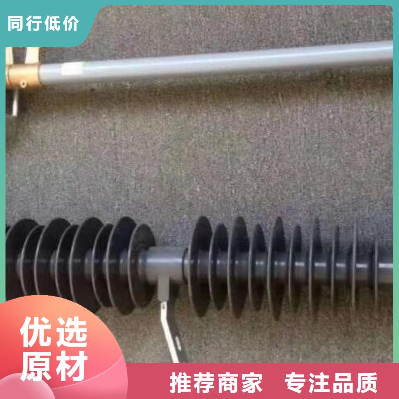 【熔断器】[柱式绝缘子]来图定制