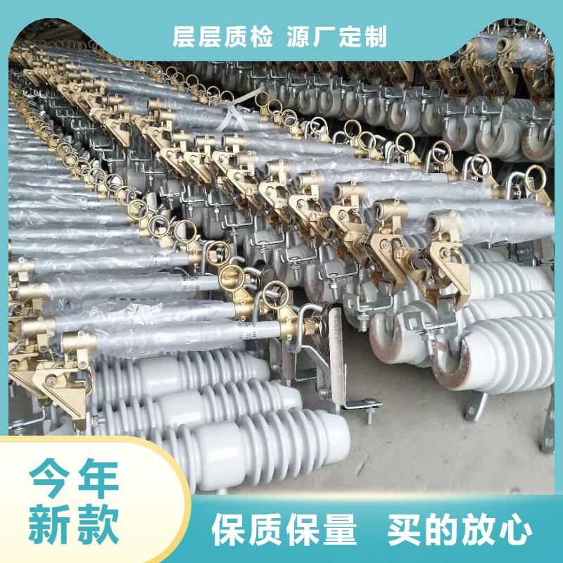 高压熔断器/RW7-10KV/100//