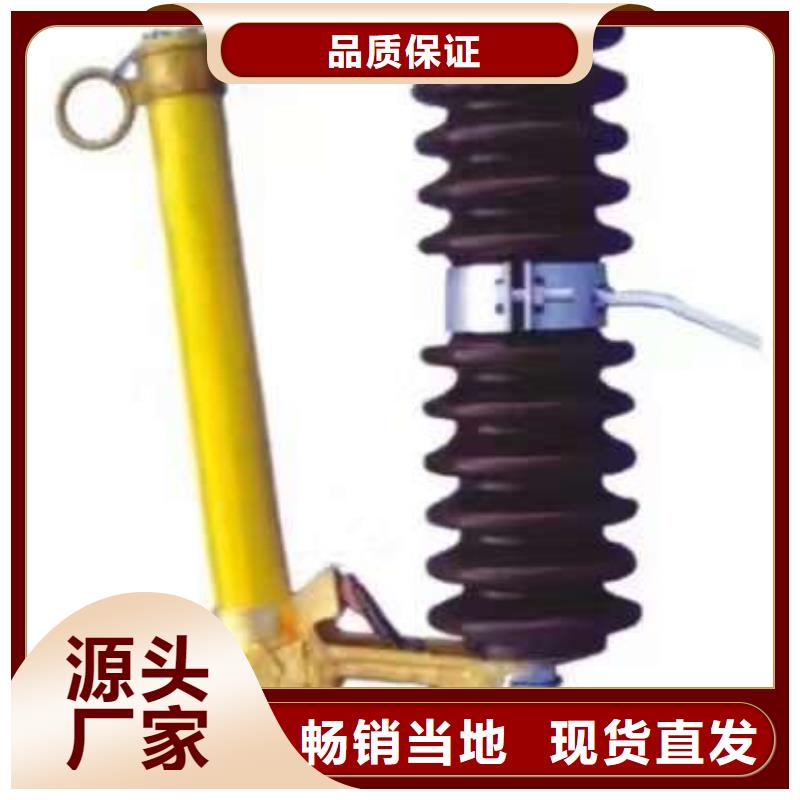 【温州】高压熔断器/RW3-10KV/100A