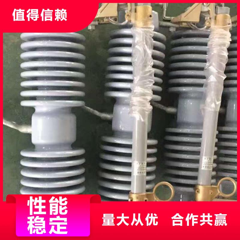 高压熔断器/RWJ-10KV/100