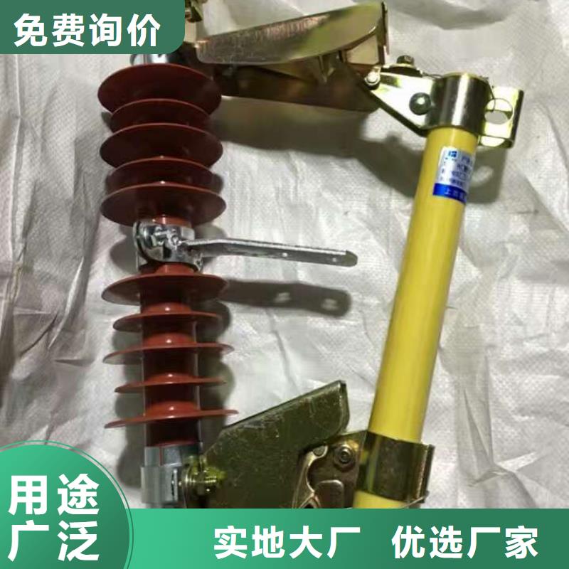 熔断器金属氧化物避雷器追求品质