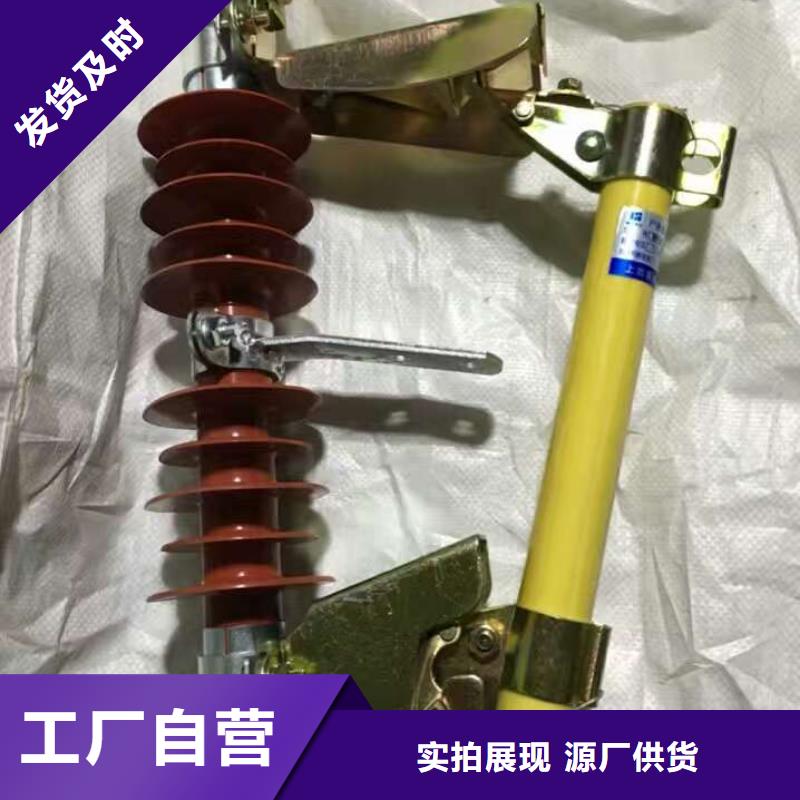 【跌落式熔断器】RW12-12/100