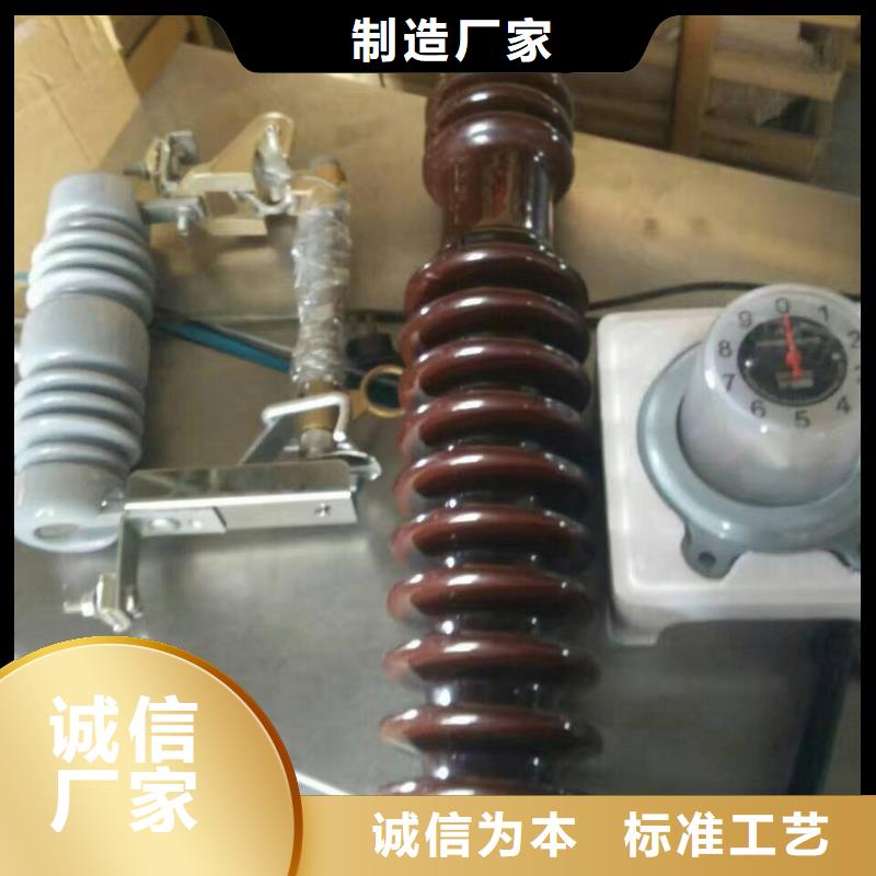 高压熔断器/HRW12-15KV/200