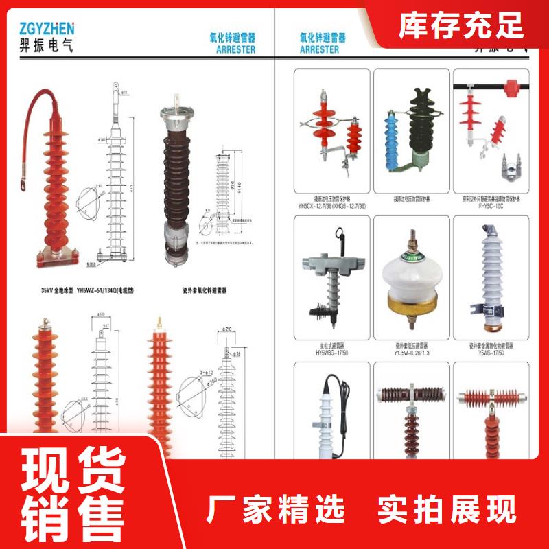 【羿振电力】避雷器YH5W5-52.7/134