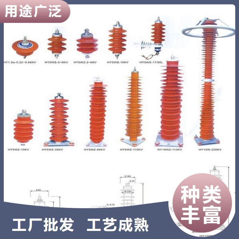 柳市厂家供应金属氧化物避雷器YH10WZ-54/134】