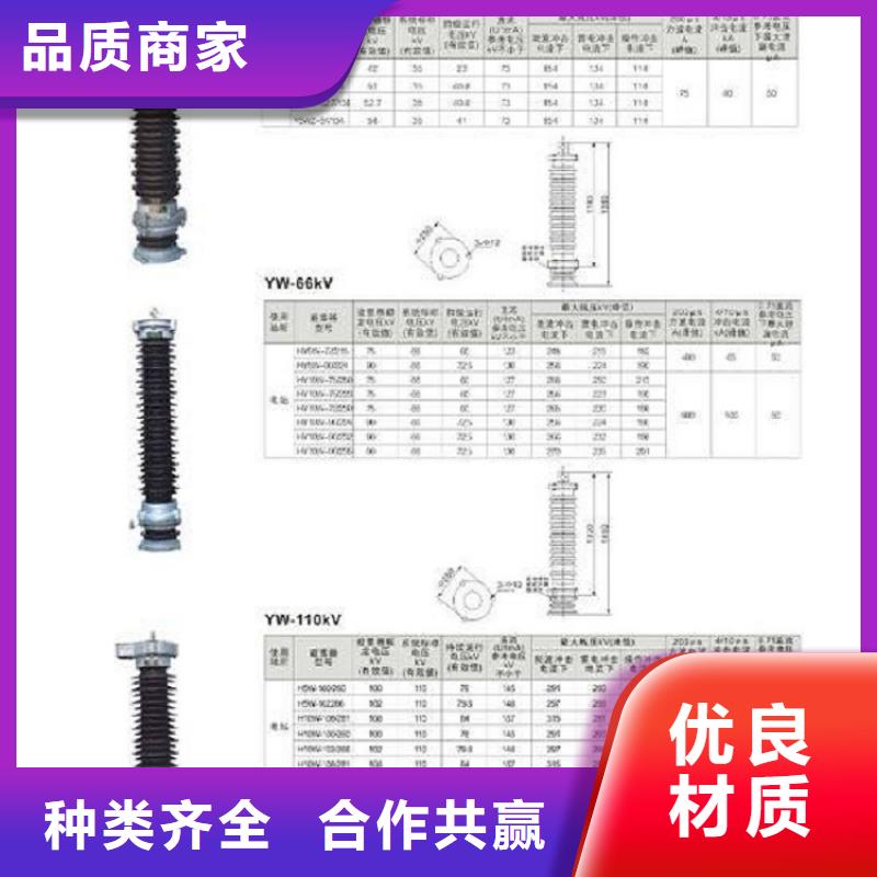 瓷外套金属氧化物避雷器Y10W-204/532浙江羿振电气有限公司