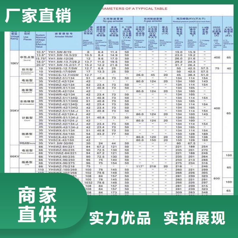 _避雷器YH10CX-192/560J【羿振电力设备】