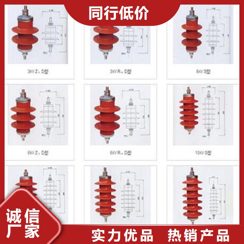 _可卸式避雷器HY5WS-17/50TB-DL【羿振电力设备】