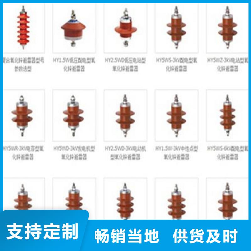 避雷器Y10W5-198/565W【羿振电力】