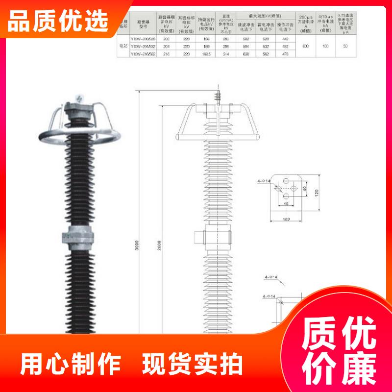 避雷器Y10W5-198/565GY【羿振电力设备】