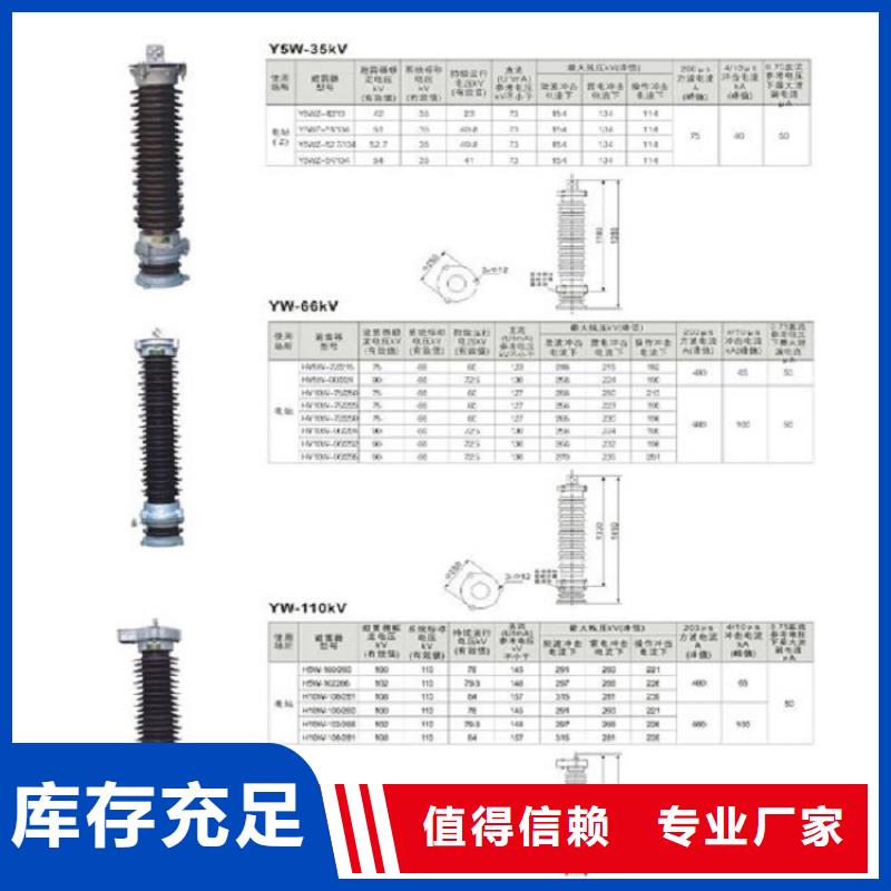 【羿振】避雷器Y5WZ-69/224