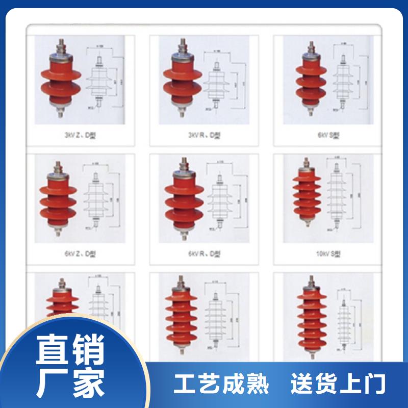 避雷器Y10W-200/496