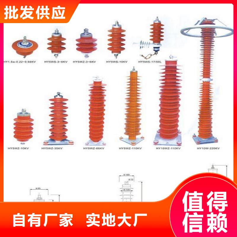 【避雷器】Y10WZ-100/260GY