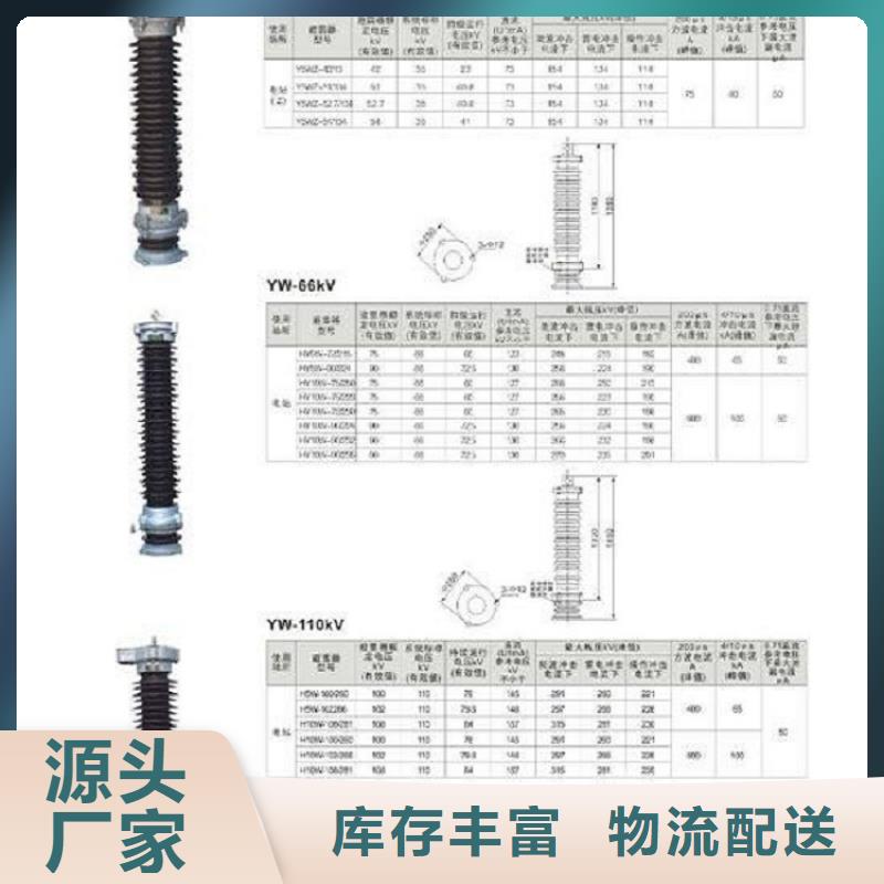 【羿振电气】避雷器HY10WX-114/300