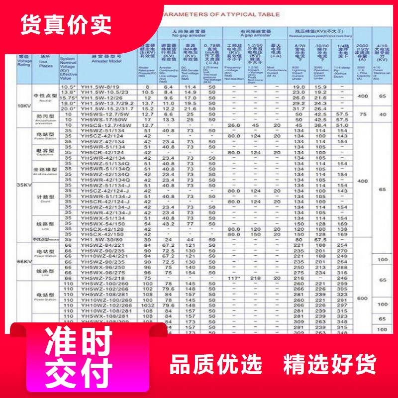 _避雷器Y5W5-192/500【羿振电力设备】