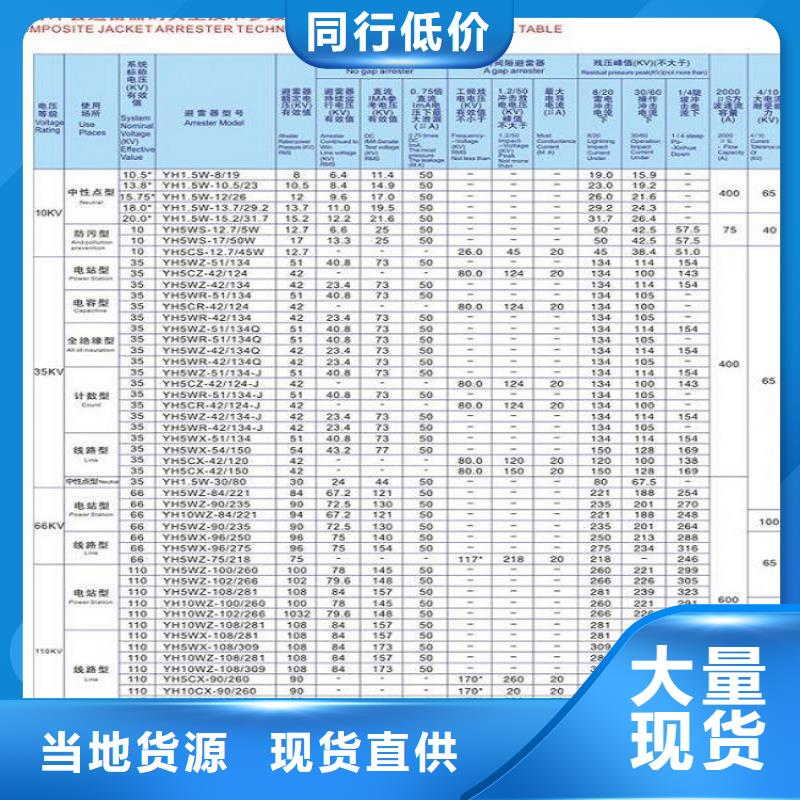 避雷器Y5W5-84/221S.