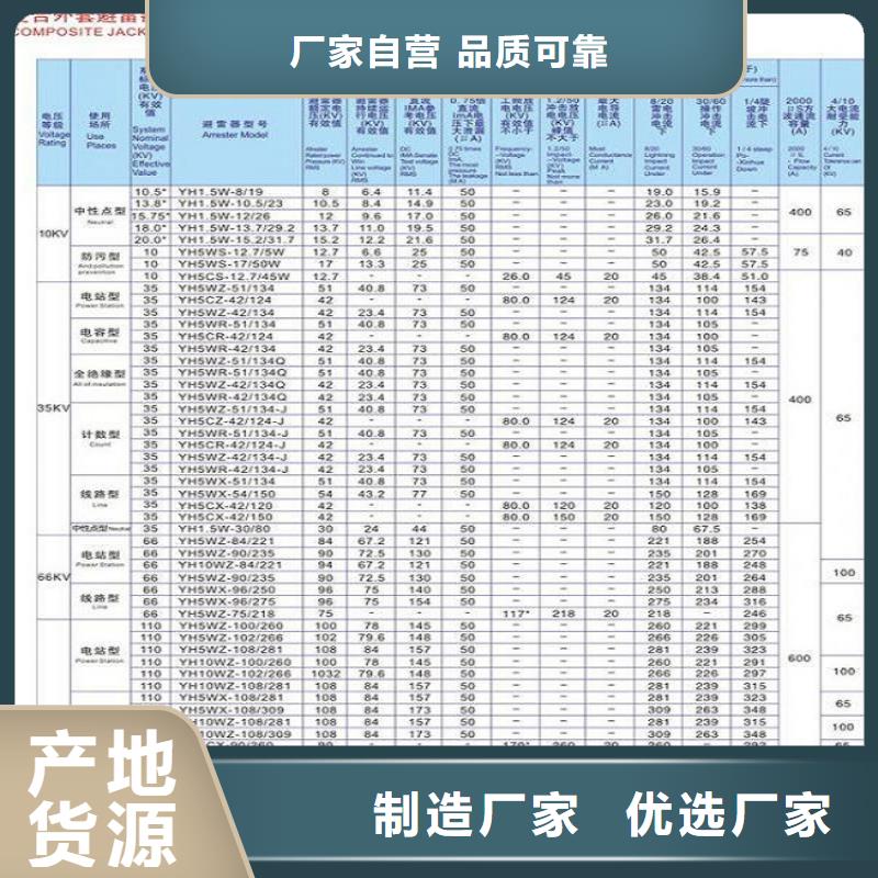 避雷器Y10W-96/250