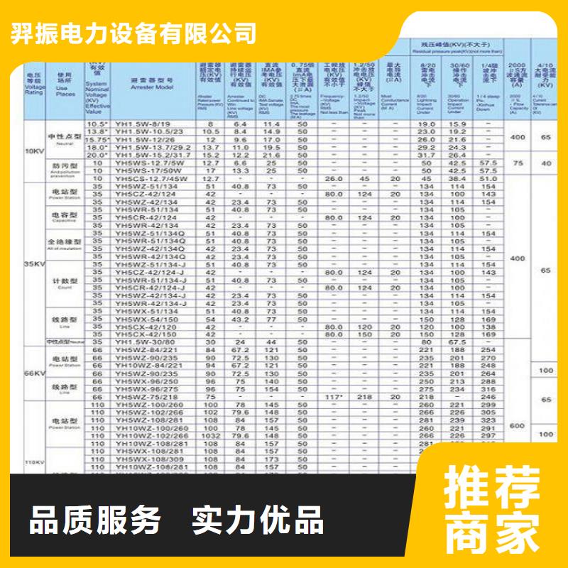 _避雷器HY10CX4-216/560【羿振电力设备】