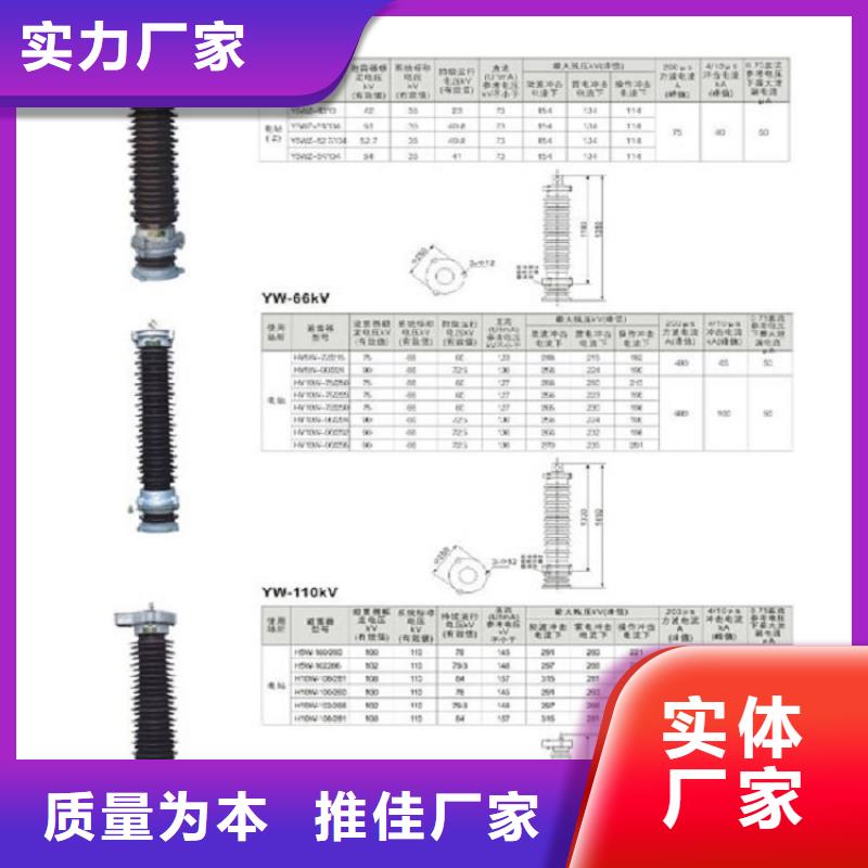 避雷器YH10WX-96/250【羿振电力】