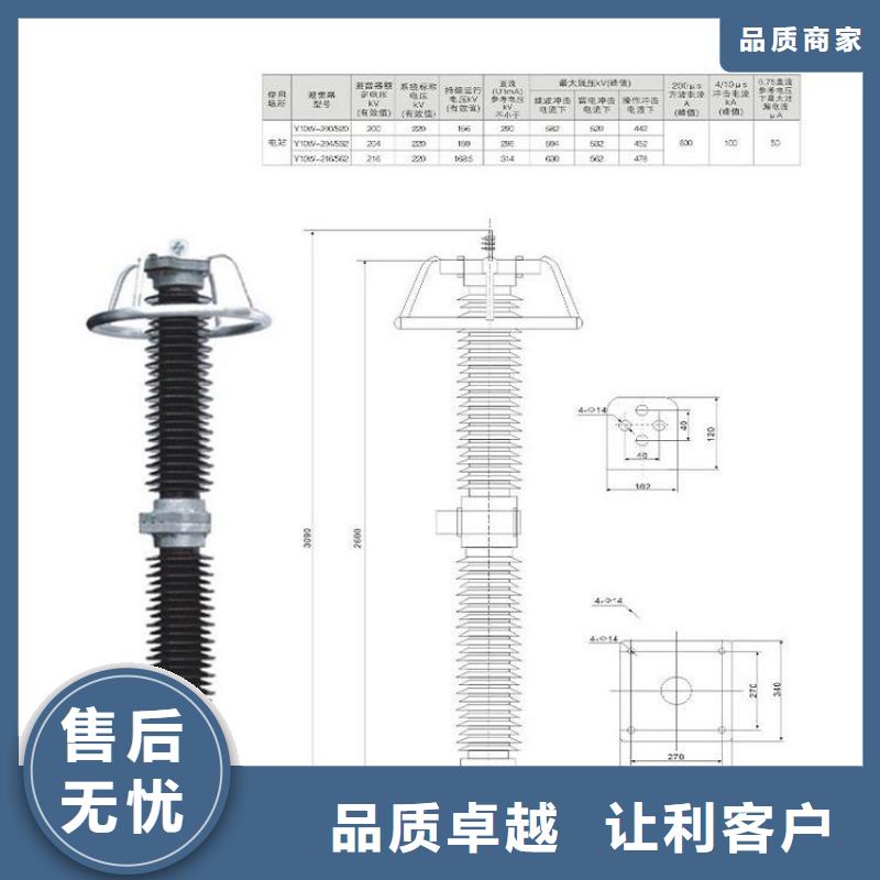 避雷器Y10W5-198/565GY【羿振电力设备】